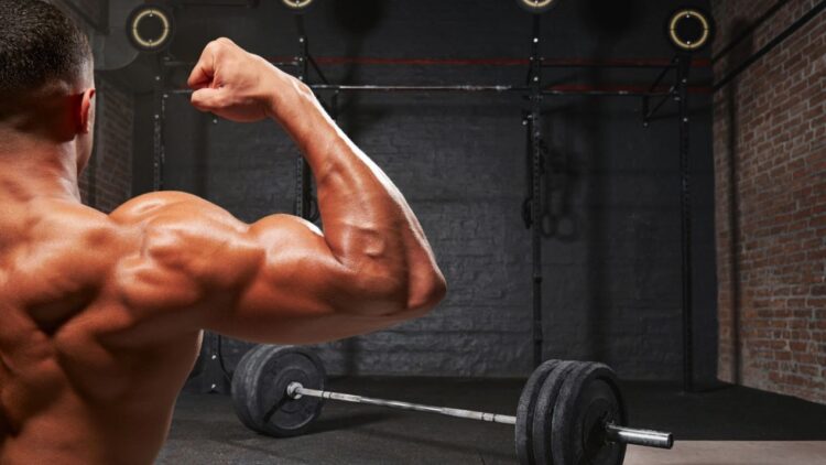 Bodybuilding-1-750x422-2